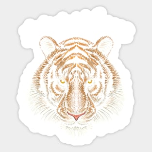 Go get 'em, Bengal Football Tigers, joe burrow Sticker